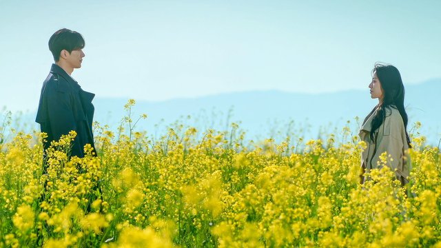 Disappearance thumbnail